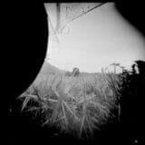 autour - lucyy photographie 18