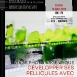 stage photo argentique developper pellicules avec des plantes - lucyy mahe