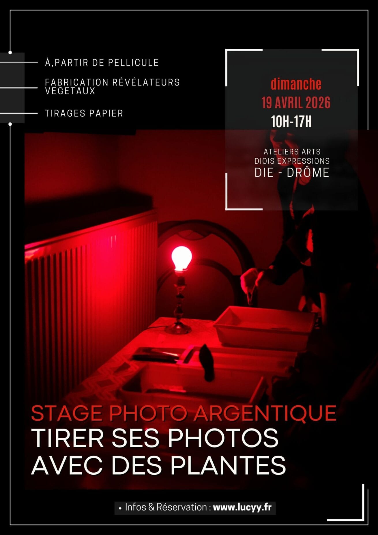 stage photo argentique tirages photo avec des plantes - lucyy mahe